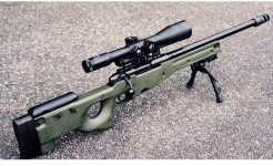 IMG_20260702_180049.jpg